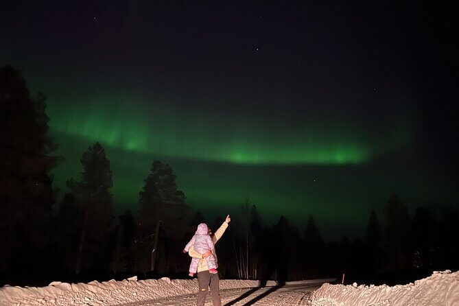 Private Northern Lights Hunting Tour Rovaniemi - WiFi, Mobile Tickets, and Sharing the Moment in Real Time