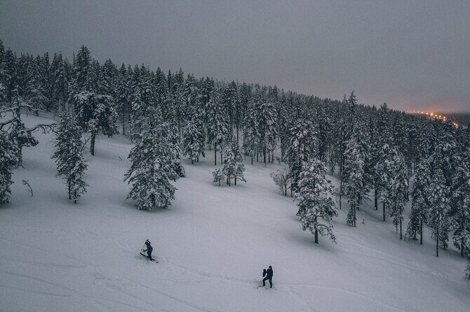 Private Northern Lights Tour With Skis Or Snowshoes in Pyhä - The private format: better pacing for families and first-timers