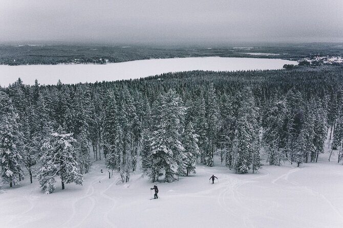 Private Northern Lights Tour With Skis Or Snowshoes in Pyhä - Price and value: is $169.24 worth it?
