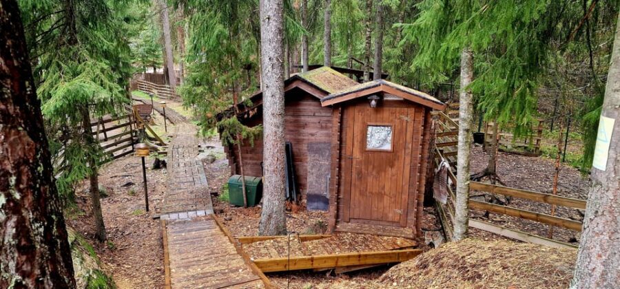 PRIVATE Reindeer Park Adventure by VIP Car - Key Things I’d Prioritize on This Tour