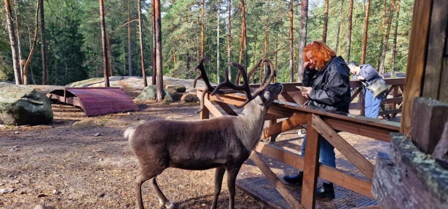 PRIVATE Reindeer Park Adventure by VIP Car - Learning the Northern Herding Story Without the Lecture Vibe