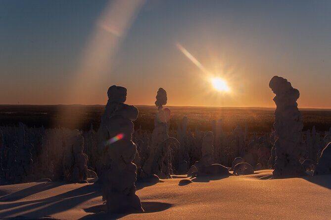 Private Snowshoe or Ski Adventure in Lapland from Rovaniemi - Key Highlights You’ll Care About