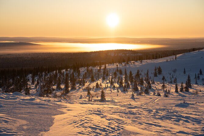 Private Snowshoe or Ski Adventure in Lapland from Rovaniemi - The Pace, The People, and Why This Feels Personal