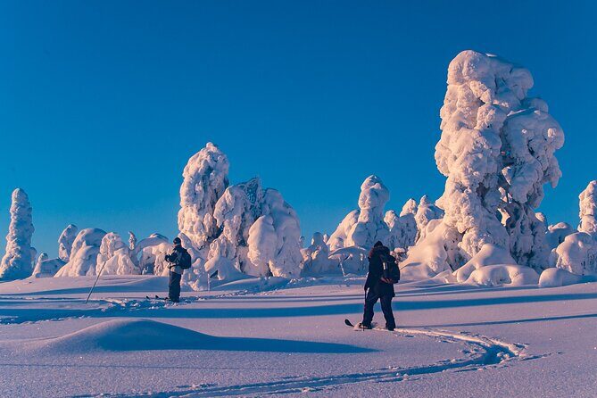 Private Snowshoe or Ski Adventure in Lapland from Rovaniemi - The Start in Rovaniemi: Timing, Pickup, and Getting Ready