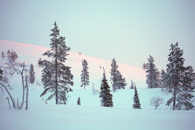 Private: Snowshoeing Safari in spectacular National Park - Who this private snowshoe safari is best for