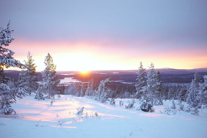 Private: Snowshoeing Safari in spectacular National Park - Pallas-Yllastunturi National Park: 2 hours of guided snowshoe time