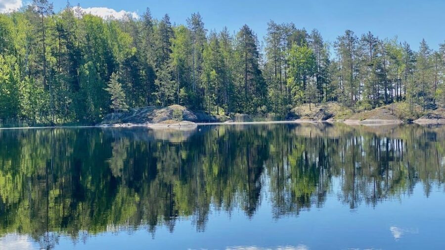 Puumala: Lake Saimaa Seal Watching Cruise - Captain Arto and Your Seal-Spotting Game Plan