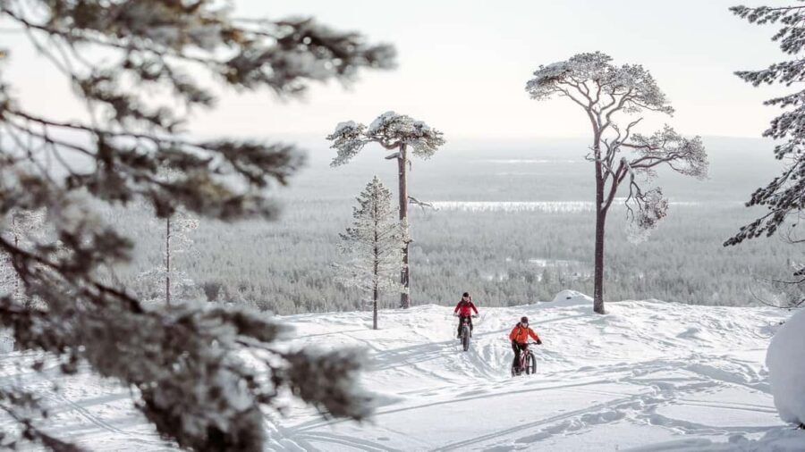 Pyhätunturi: Electric Fatbike Tour in Finnish Lapland - Riding through the taiga trails: what the guided portion feels like