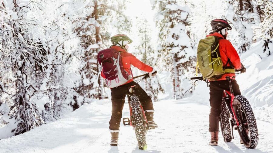 Pyhätunturi: Electric Fatbike Tour in Finnish Lapland - The warm pause: hot berry drinks and winter nature stories