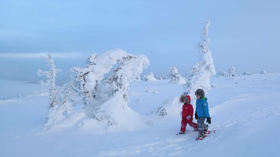 Pyhätunturi: Scenic Snowshoeing Tour in Finnish Lapland - Weather, light, and why your camera earns its spot