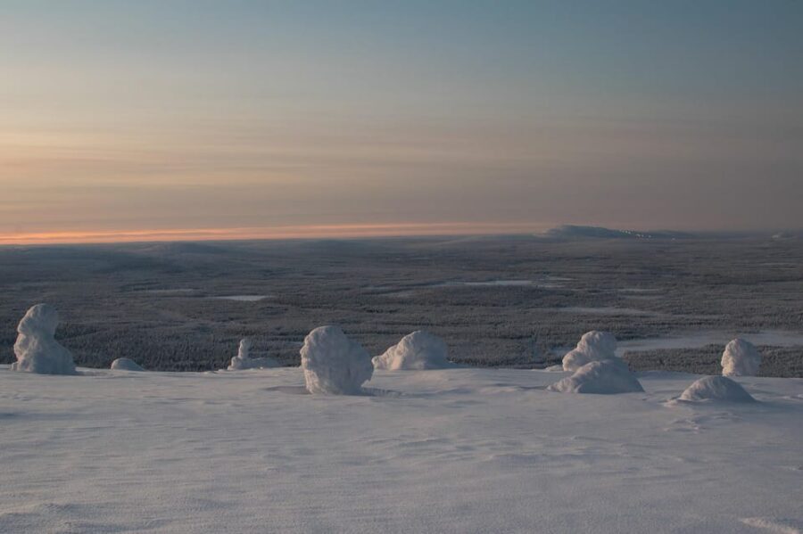 Pyhätunturi: Scenic Snowshoeing Tour in Finnish Lapland - Price and value: what $133 buys you