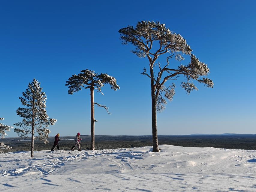 Pyhätunturi: Try Wilderness Skiing in Finnish Lapland - What the guide actually gives you (besides directions)