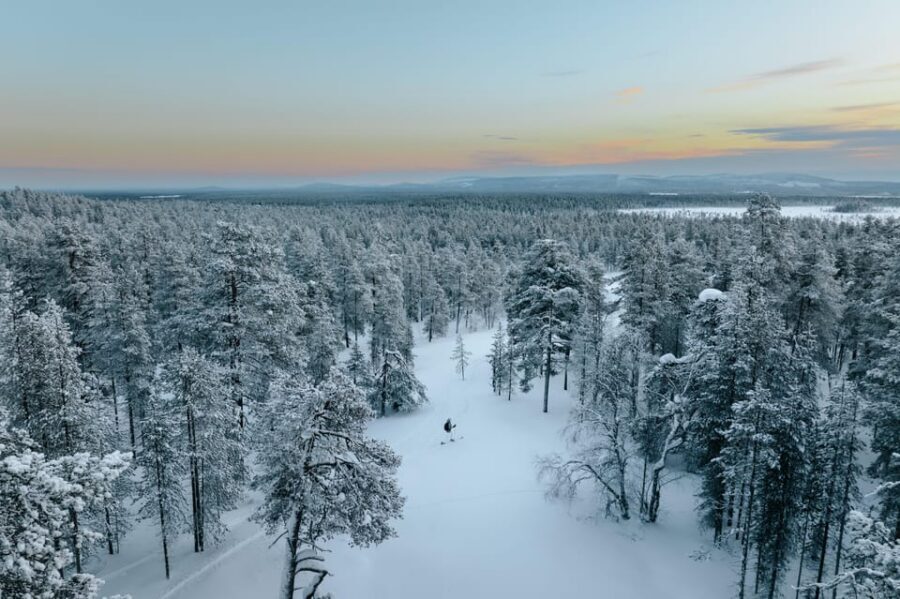 Pyhätunturi: Try Wilderness Skiing in Finnish Lapland - Your skis: the easy control setup that helps first-timers