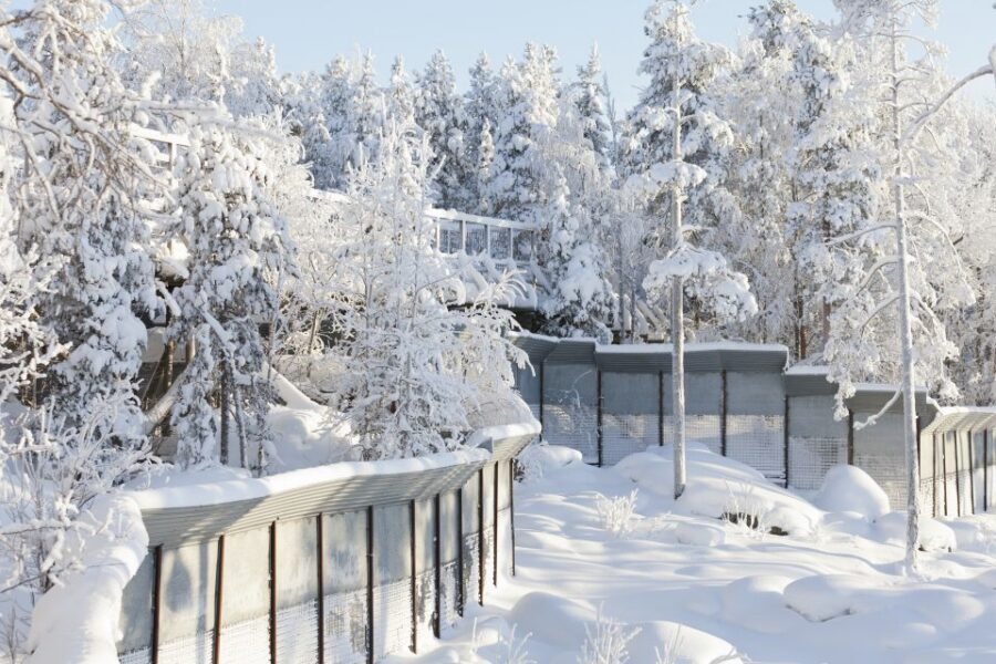 Ranua Wildlife Park Guided Tour from Rovaniemi - Coffee break and Fazer sweets shop: a smart, low-stress finish