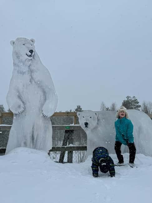 Ranua Wildlife zoo tour with lunch buffet included - What to pack for sub-zero weather (winter clothes aren’t included)