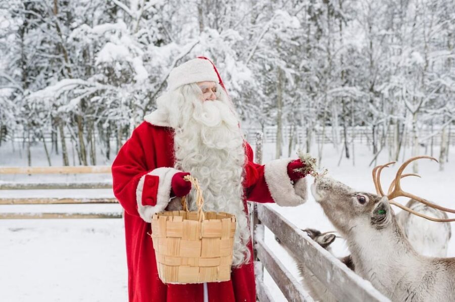 Reindeer Farm Visit with Sleigh Ride - The Sleigh Ride: Short, Cold-Proof Fun (With a Value Check)