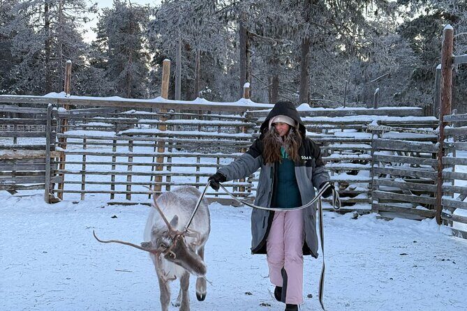 Reindeer Husbandry with Snowmobile Sleigh Ride and Cabin Lunch - Who This Experience Fits Best (and Who Might Want Another Plan)