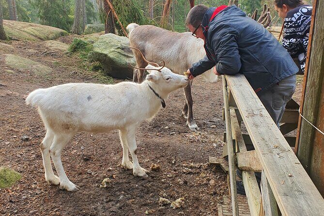 Reindeer Park Adventure - Guides make or break it: the human factor here