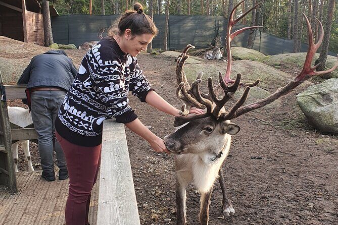 Reindeer Park Adventure - Timing: when you want noon, ask early