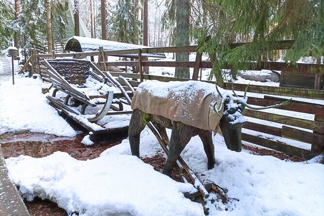Reindeer Park & Horse Stables Safari - Horse stables safari: what you should clarify before booking