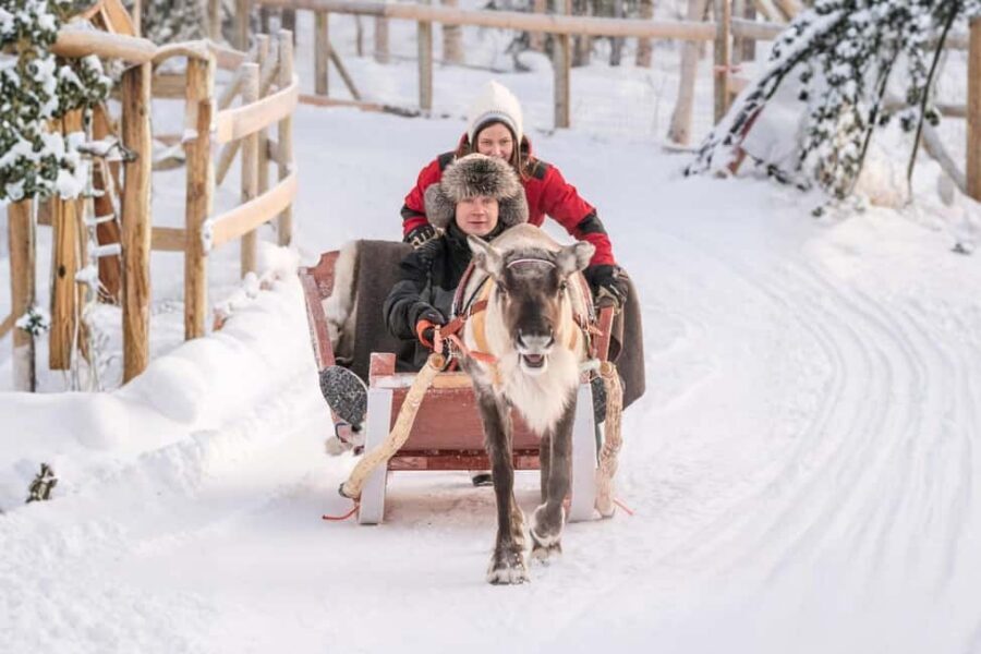 Reindeer Safari at a 200-Year-Old Farm & Long Sled Ride - At a 200-Year-Old Rovaniemi Farm: Why This Safari Feels Personal