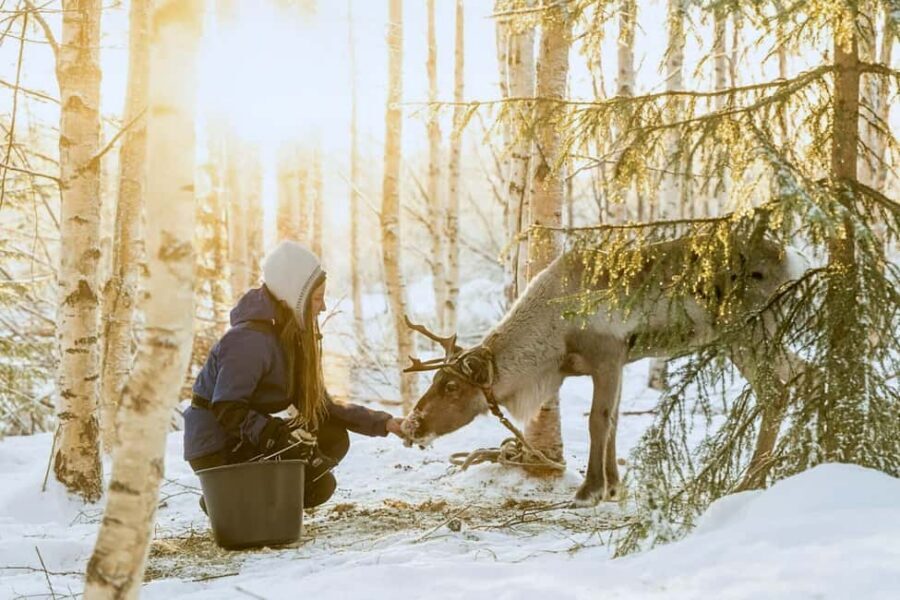 Reindeer Safari at a 200-Year-Old Farm & Long Sled Ride - From Pickup to Winter Overalls: Setting Yourself Up for Comfort