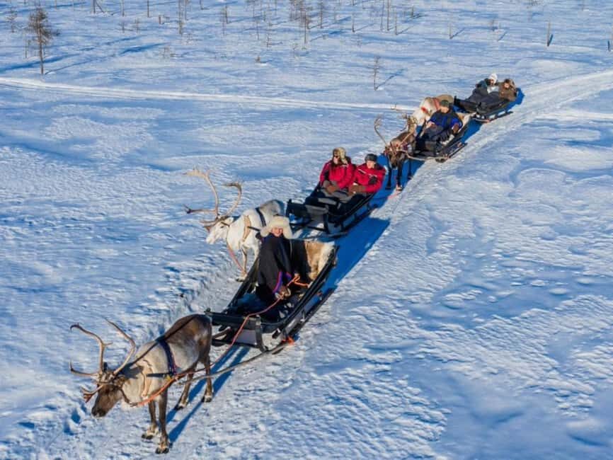 Reindeer Safari at a 200-Year-Old Farm & Long Sled Ride - The 2.5 km Reindeer Sled Ride That Moves at a Family-Friendly Pace