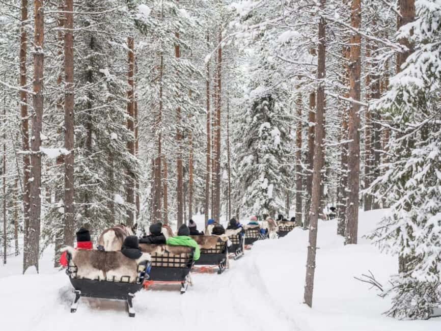 Reindeer Safari at a 200-Year-Old Farm & Long Sled Ride - Cold-Weather Reality Check: Tips That Matter at -30°C