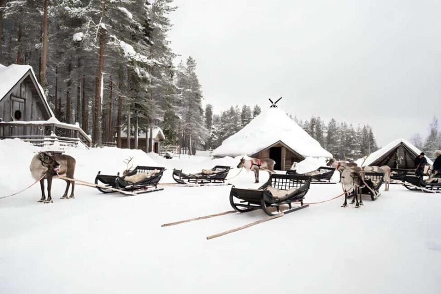 Reindeer Safari at a 200-Year-Old Farm & Long Sled Ride - Who Should Book This Reindeer Safari