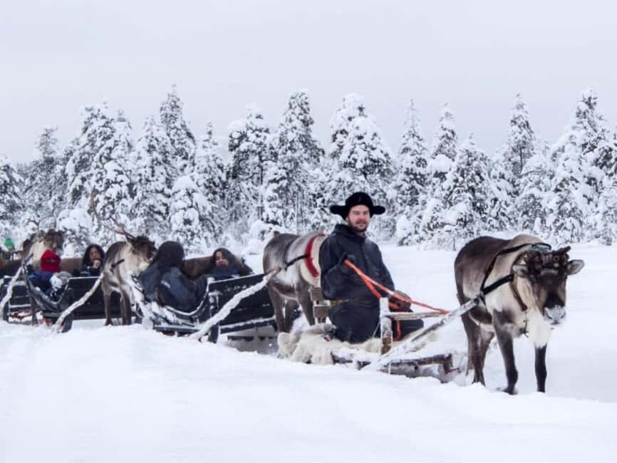 Reindeer Safari at a 200-Year-Old Farm & Long Sled Ride - Should You Book It? A Practical Decision Guide