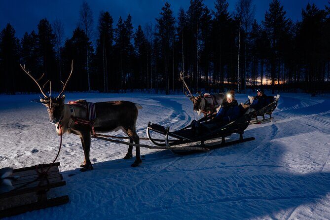 Reindeer Sleigh Ride Across the Night in Apukka Resort Rovaniemi - The Reindeer Trail: Sleigh Time, Farm Learning, and a Fire Break