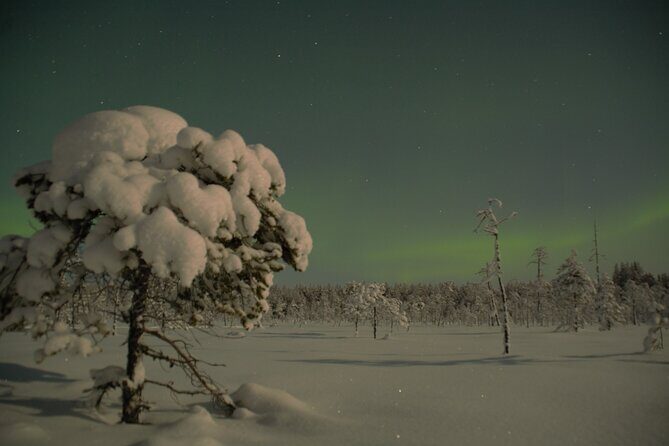 Reindeer Sleigh Ride Across the Night in Apukka Resort Rovaniemi - Northern Lights Chances: Dark Trail Time Without the Crowds