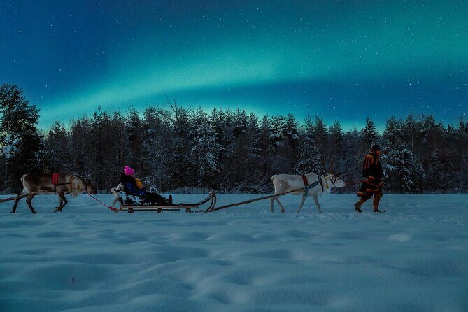 Reindeer Sleigh Ride Across the Night in Apukka Resort Rovaniemi - Final Verdict: Should You Book This Reindeer Sleigh Ride?
