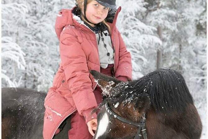 Riding Tour with Finnhorses at Santa Claus Village - Getting to Aurora Horses: location and timing that matter