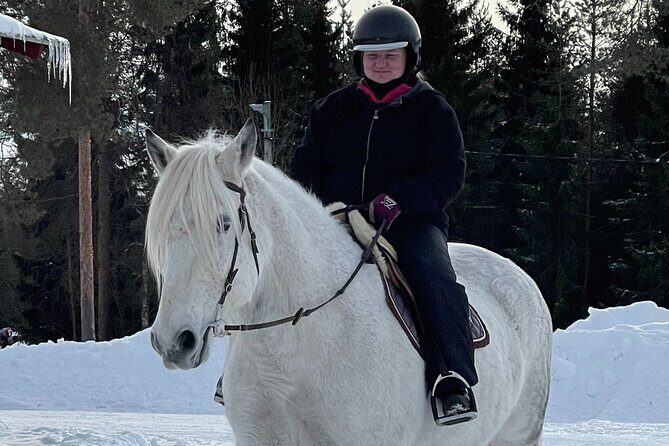 Riding Tour with Finnhorses at Santa Claus Village - After the ride: warm drink, cookies, and Finnhorse stories
