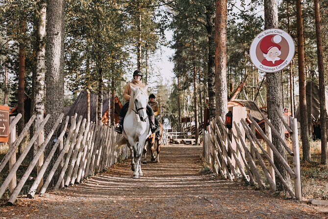 Riding Tour with Finnhorses at Santa Claus Village - Price and value: is $126.03 for an hour worth it?