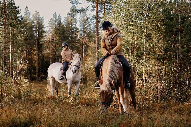 Riding Tour with Finnhorses at Santa Claus Village - Who this is best for (and who should think twice)