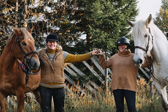 Riding Tour with Finnhorses at Santa Claus Village - Before you ride: helmets, training, and why this reduces stress