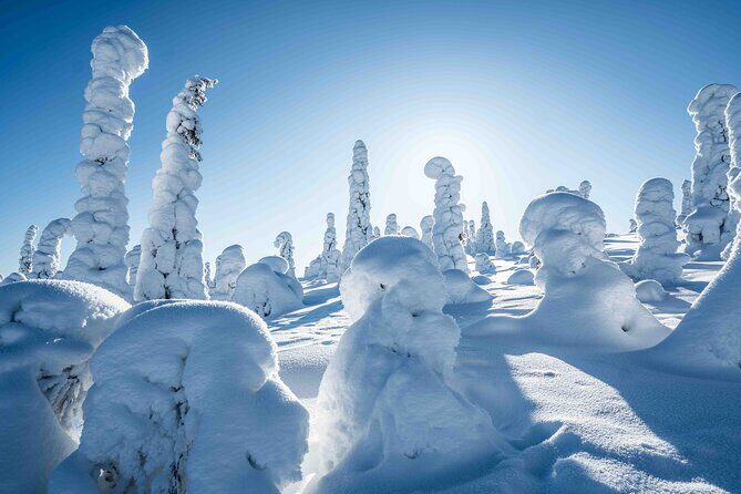 Riisitunturi wilderness adventure - Food and warmth breaks: lunch, snacks, and hot drinks included