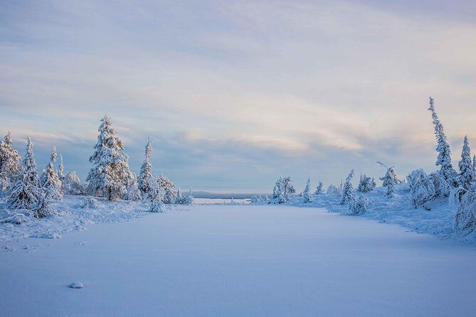 Riisitunturi wilderness adventure - Gear included: clothing, winter boots, and the one small extra I’d pack