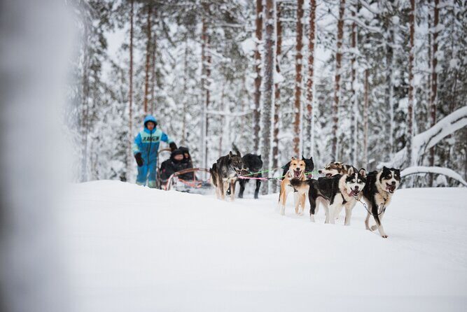 Rovaniemi 2 days Activities Package - Winter Gear: What’s Included, What to Add