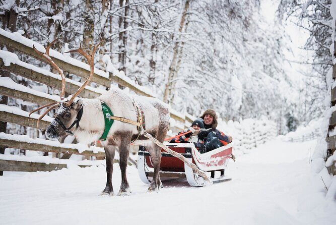 Rovaniemi 2 days Activities Package - Day 1: Snowmobile Training Through Arctic Circle Forests