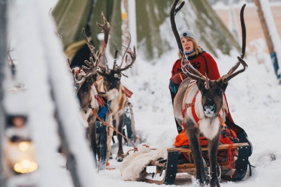 Rovaniemi: Apukka Reindeer Sleigh Ride at Night - Key points you’ll care about