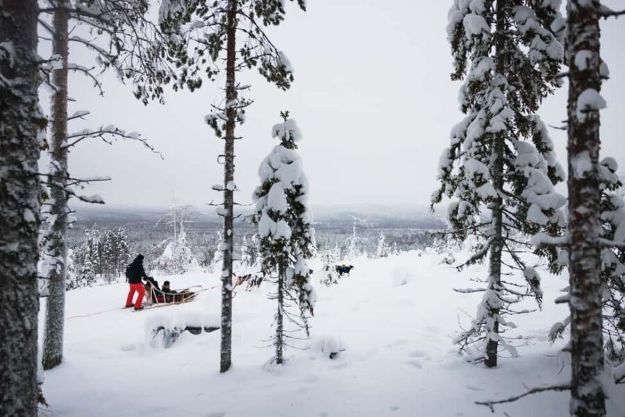 Rovaniemi: Arctic Circle Long Trail Husky Adventure - Winter clothing, hot drinks, and comfort tips that actually help