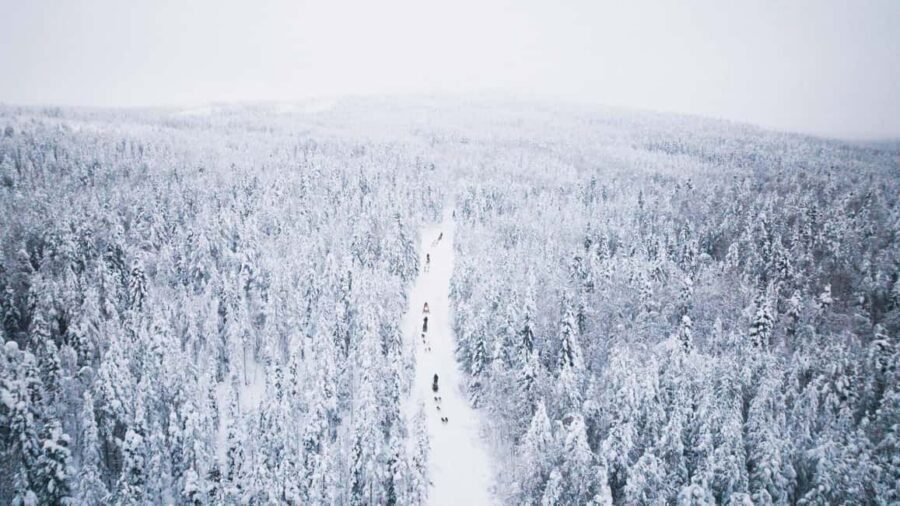 Rovaniemi: Arctic Circle Long Trail Husky Adventure - How long is this, really, and what fits around it