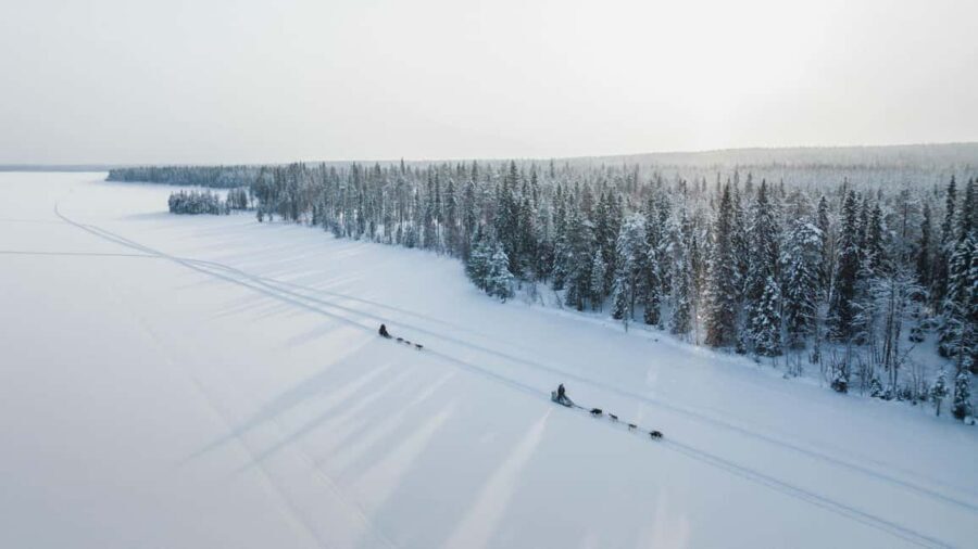 Rovaniemi: Arctic Circle Long Trail Husky Adventure - Getting to the right check-in spot in Santa Claus Village or downtown