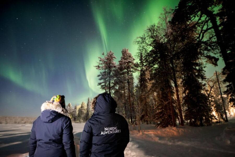 Rovaniemi: Arctic Ice Floating and Northern Lights Tour - Price and Value at $131: What You’re Really Paying For