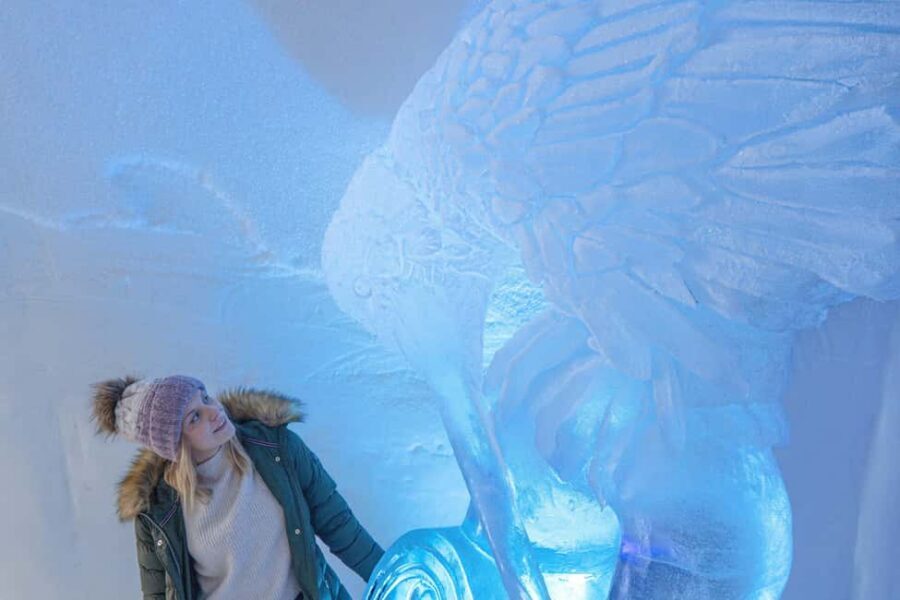Rovaniemi: Arctic Snow Hotel Tour - Inside the Arctic Snow Hotel: The 45-Minute Guided Tour