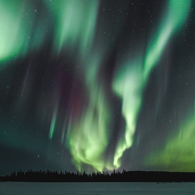 Rovaniemi: Aurora Borealis Hunting Photo Tour - Four Hours in Lapland: The Flow From Pickup to Final Photo