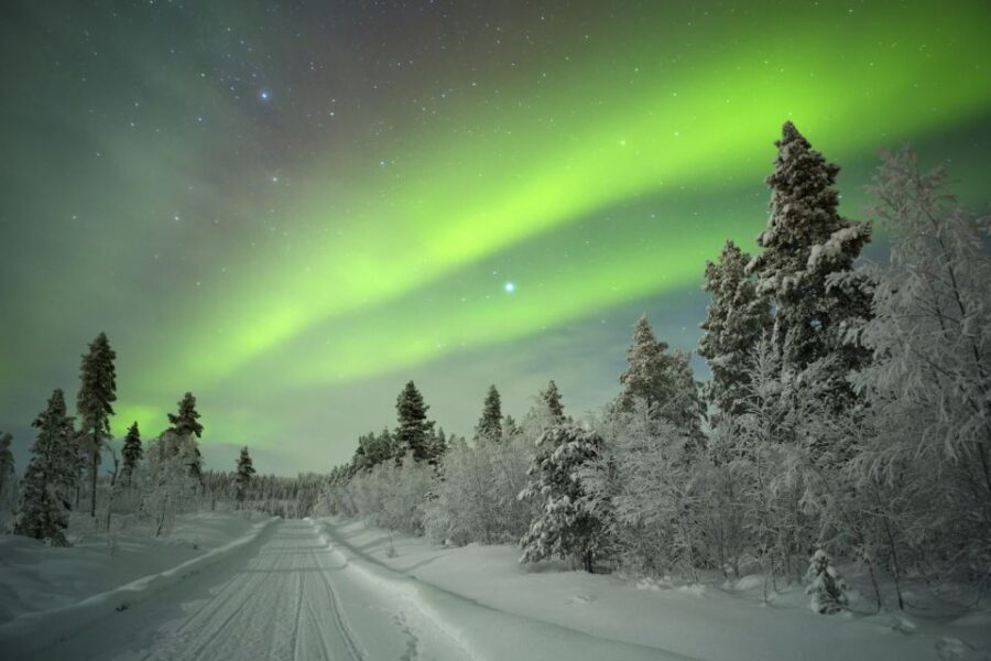Rovaniemi: Aurora Borealis Snowmobile Safari with Campfire - Key Things I’d Focus On Before You Go